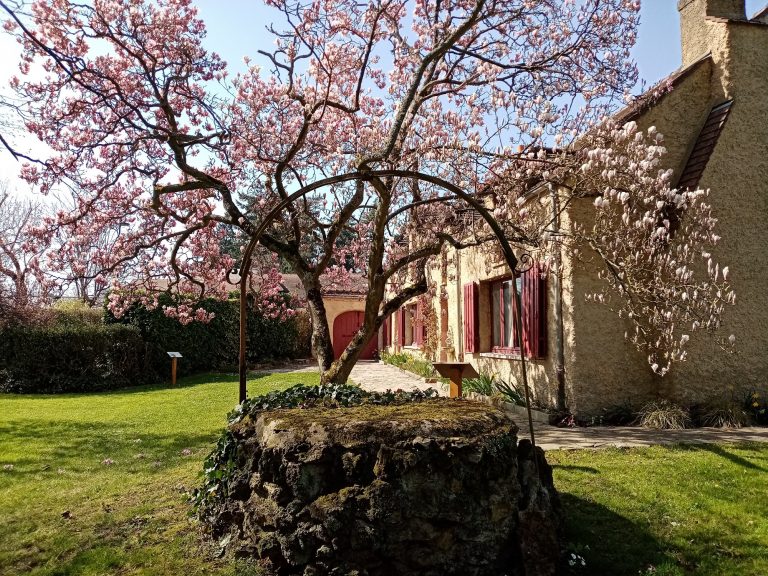 Maison Léon Blum - Actualités Maison Léon Blum - Actualités